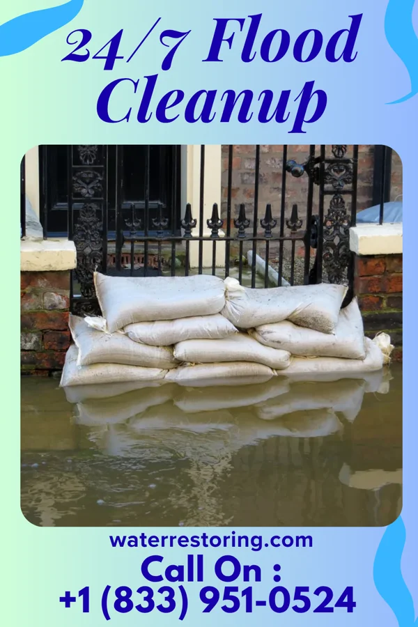 24/7 Flood Cleanup in Hainesville, IL