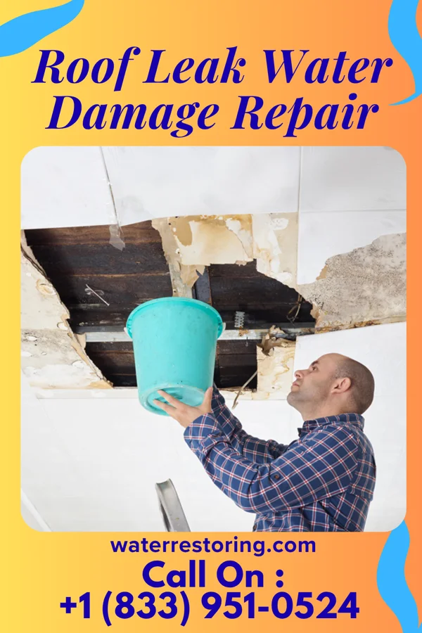 Roof Leak Water Damage Repair in Hainesville, IL